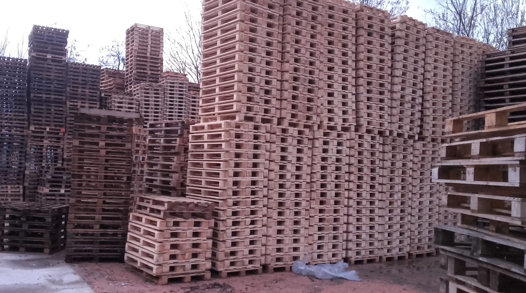 Galleria pallet