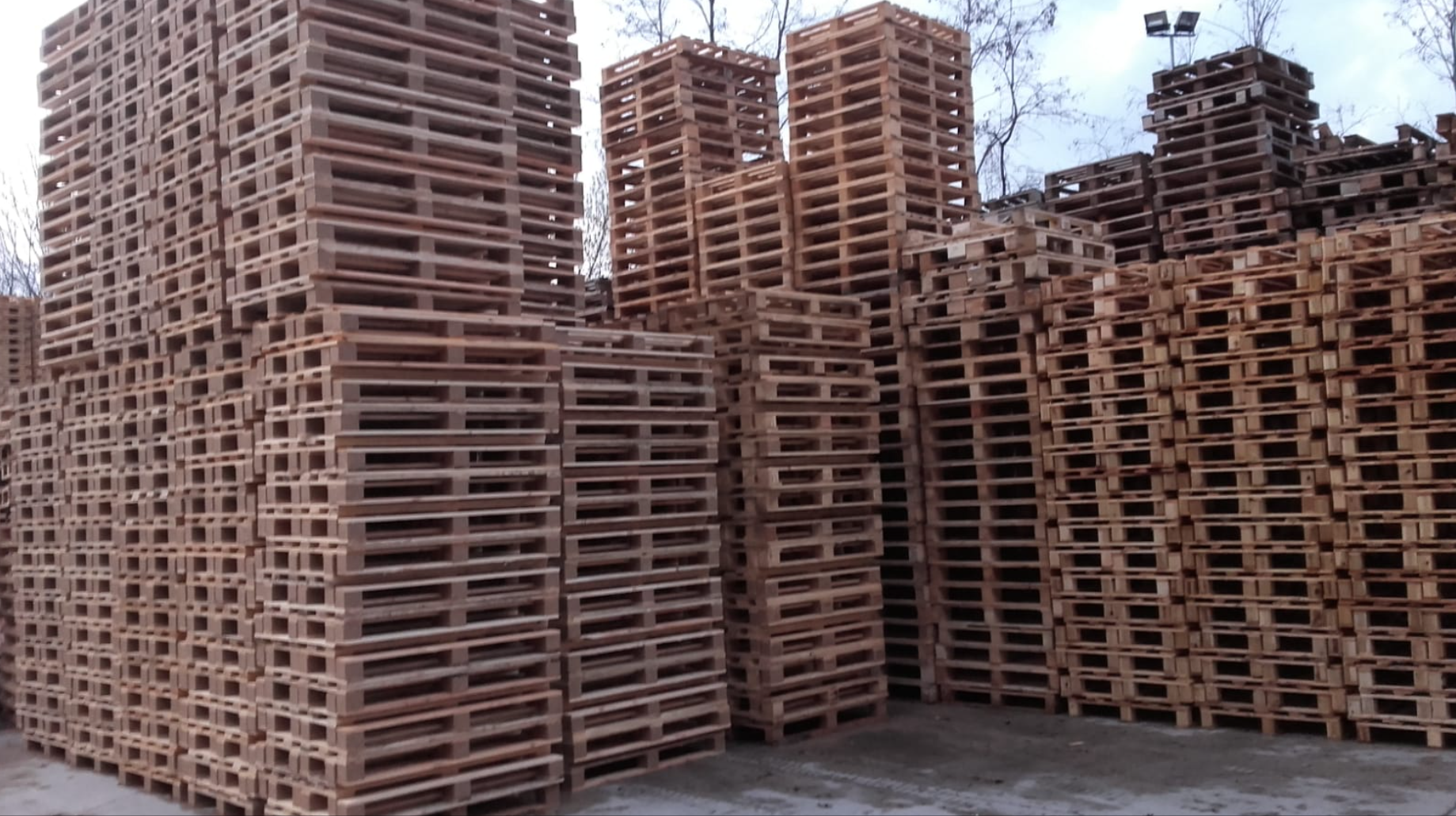 Galleria pallet